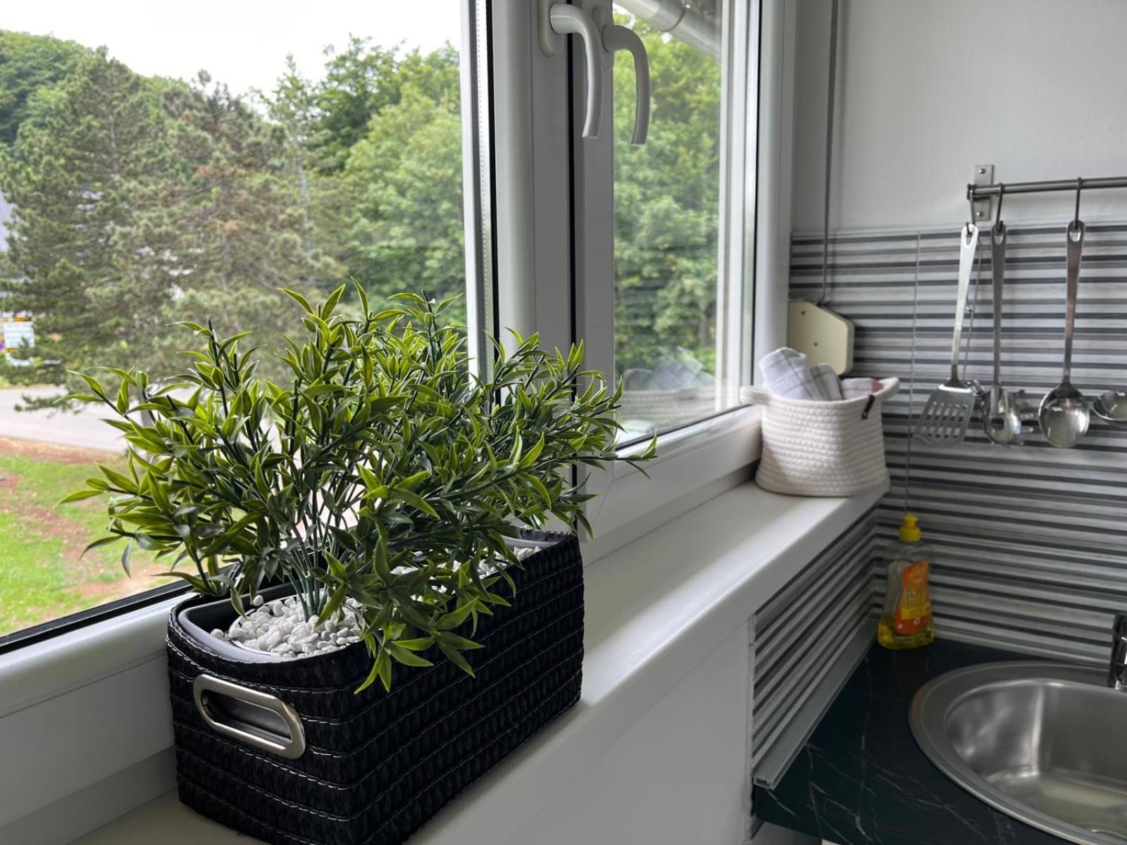 Eva Luxury Rooms & Apartments Plitvička Jezera Extérieur photo